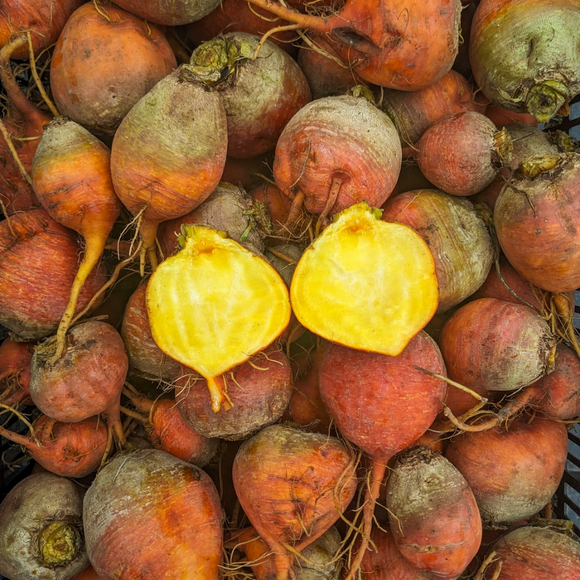 Beets (Touchstone Gold)