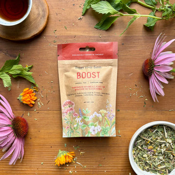 BOOST Wellness Tea