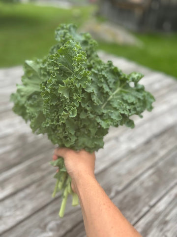 Kale (curly)