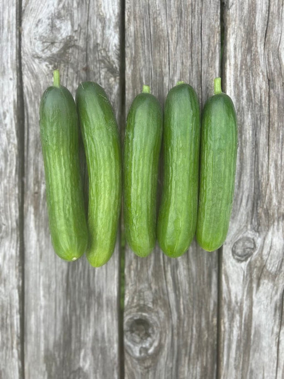 Cucumber (Manny)