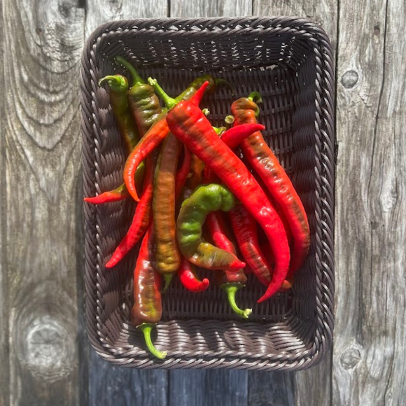 Jimmy Nardello Peppers