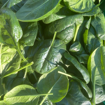 Spinach (Space)