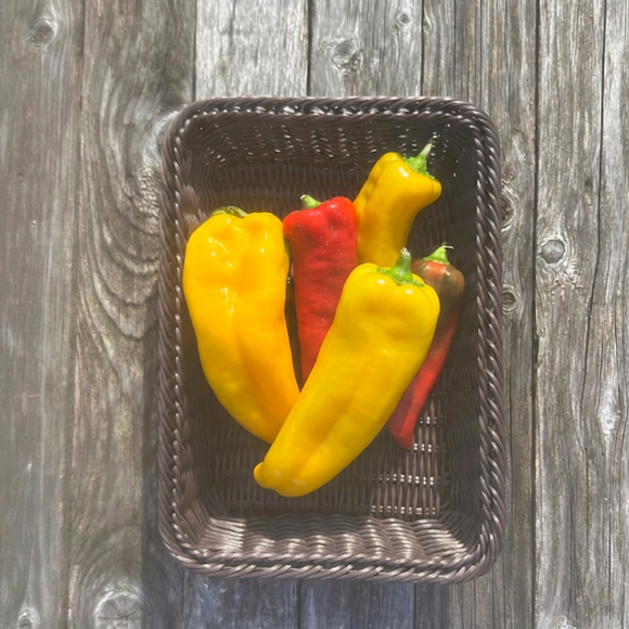 Sweet Peppers
