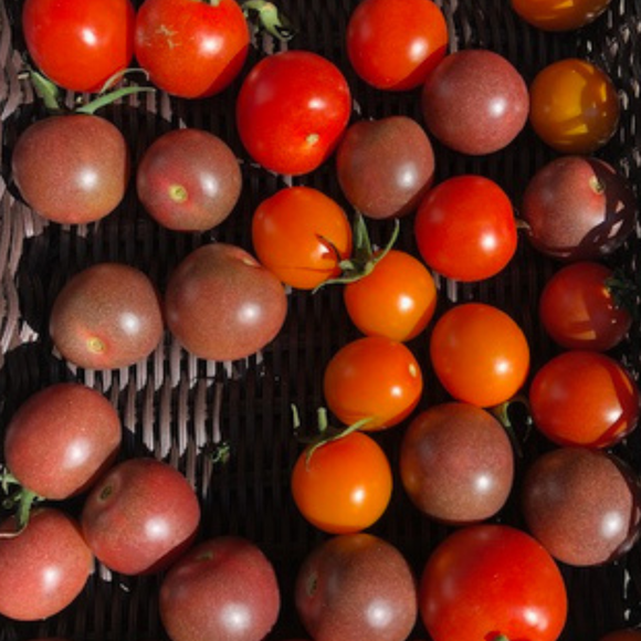 Cherry Tomatoes