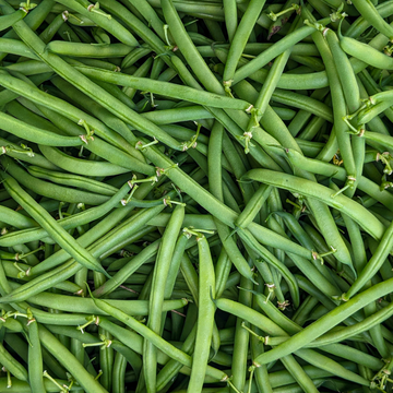 Green Beans (Maxibel)