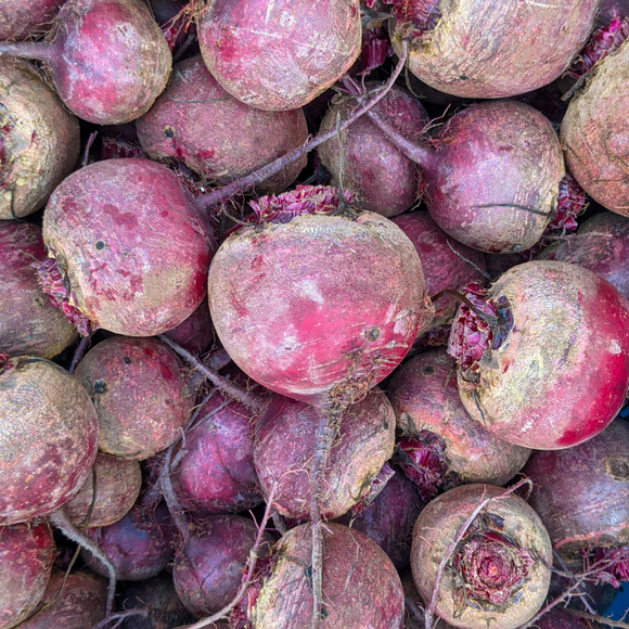 Beets (Red Merlin, Topless)