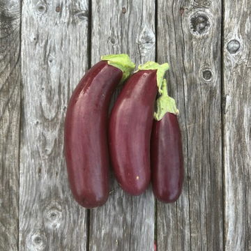 Eggplant (Little Finger)