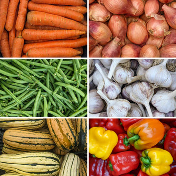 Join Our WSF Farm Membership & Save Up To $200