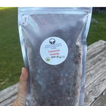 Organic Haskap Berries