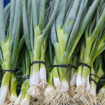 Green Onions (Parade)