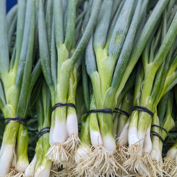 Green Onions (Parade)